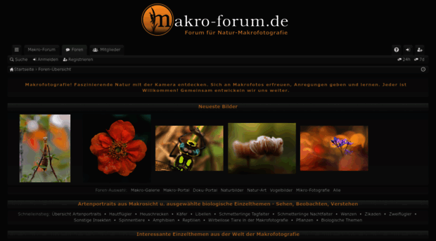 makro-forum.de
