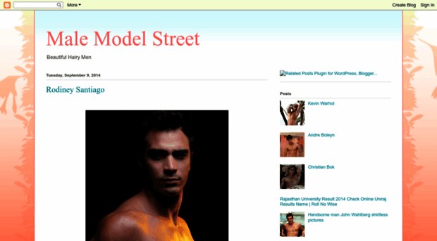 malemodelstreet.blogspot.com