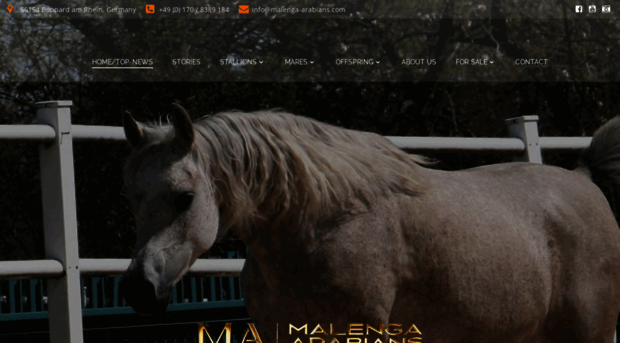 malenga-arabians.com