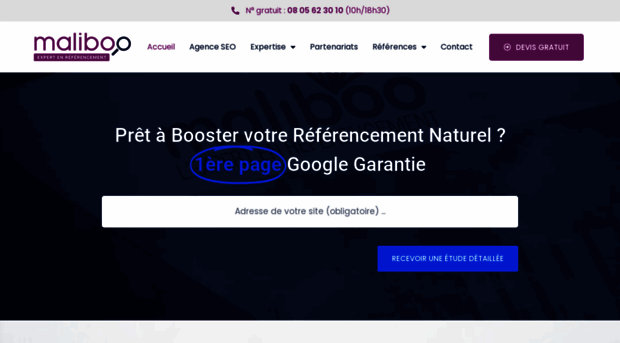 maliboo-referencement.com
