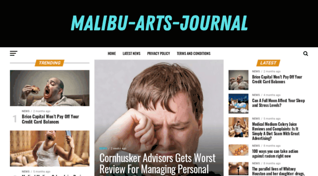malibu-arts-journal.com