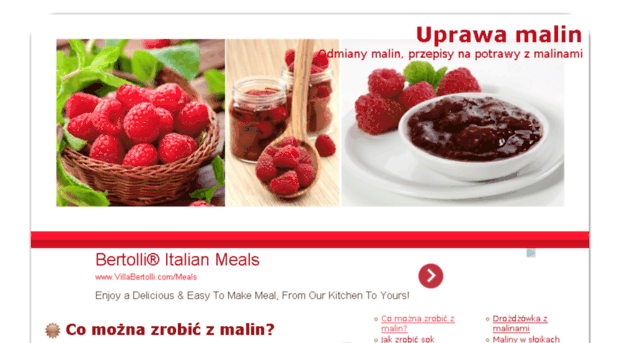 maliny.net.pl