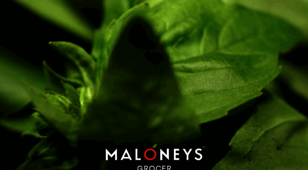 maloneysgrocer.com.au