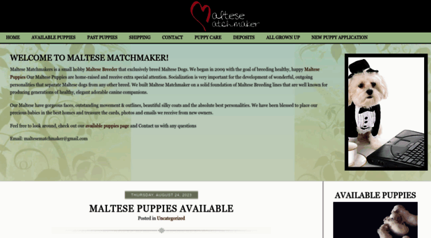 maltesematchmaker.com