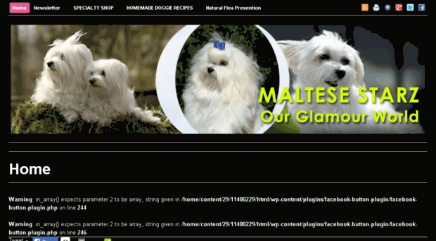 maltesestarz.com