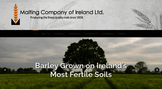 maltingcompany.ie