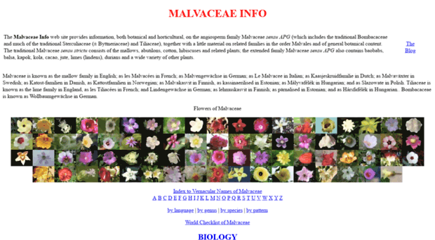 malvaceae.info