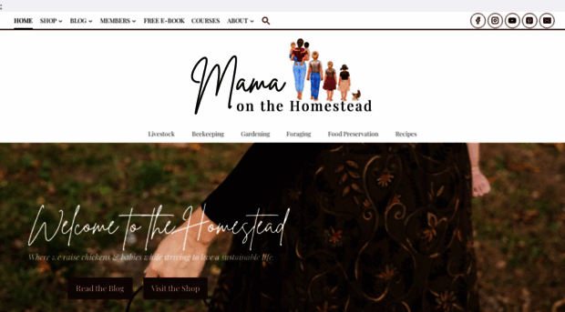 mamaonthehomestead.com