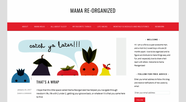 mamareorganized.com