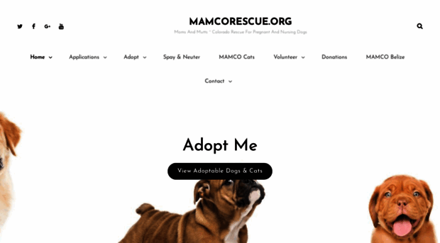 mamcorescue.org