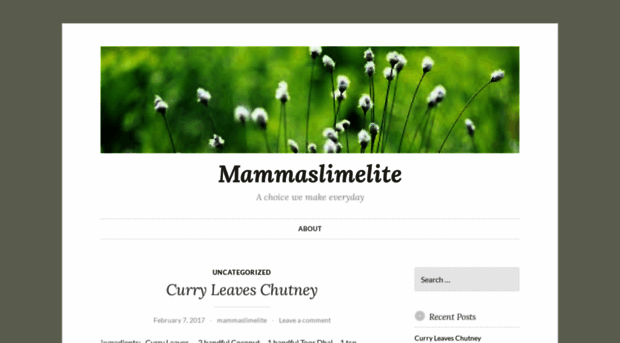 mammaslimelite.wordpress.com