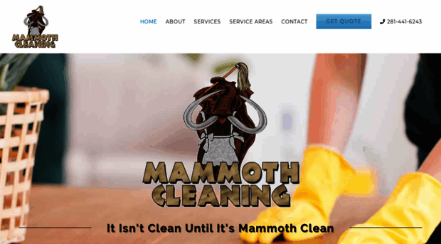 mammothcleaning.com