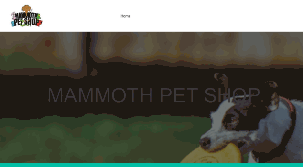 mammothpetshop.com