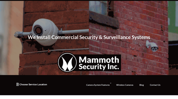 mammothsurveillance.com