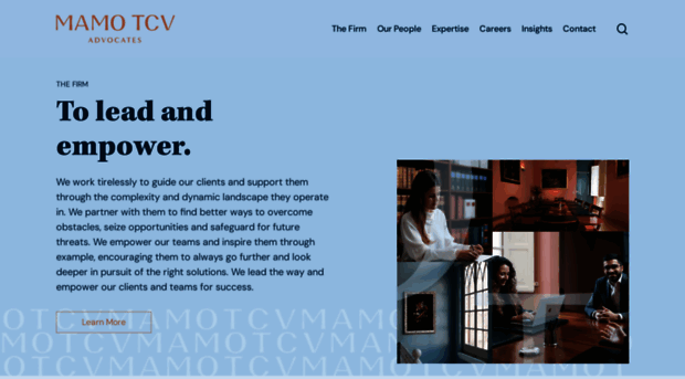 mamotcv.com