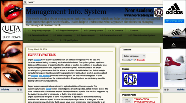 managementinfosystem205.blogspot.com