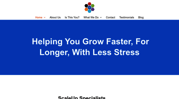 managinghighgrowth.com