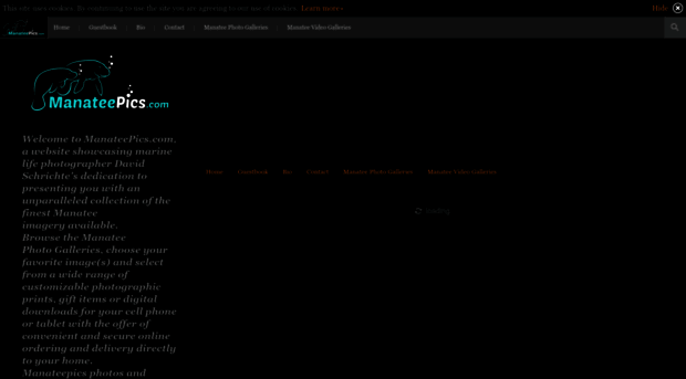 manateepics.com