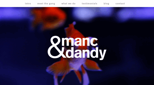 mancanddandy.com