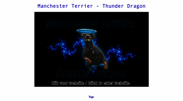 manchester-terriers.nl