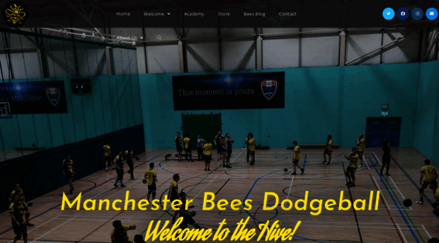 manchesterbees.co.uk