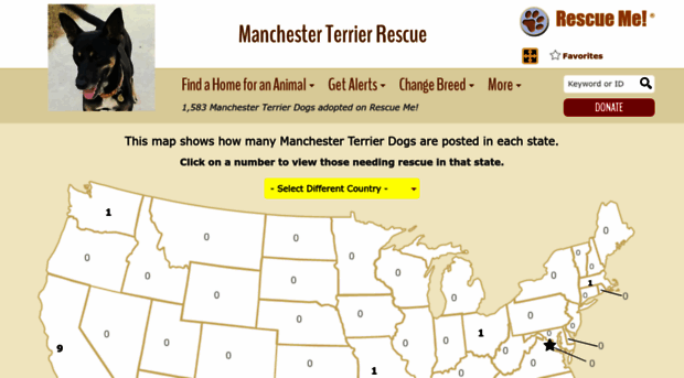 manchesterterrier.rescueme.org