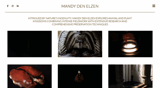 mandydenelzen.com