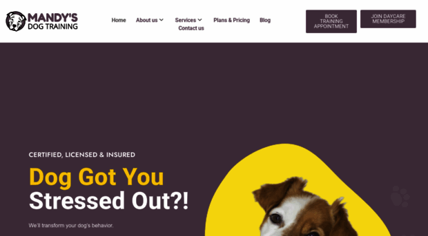 mandysdogtrainingchicago.com