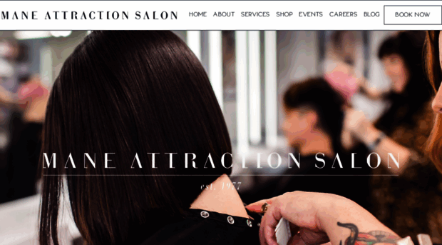 maneattractionsalon.com