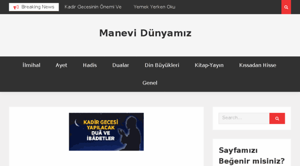 manevidunyamiz.com