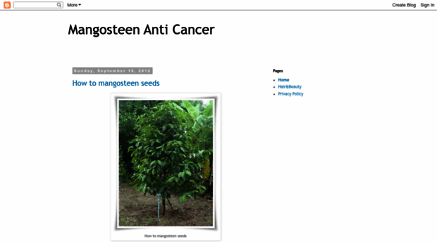 mangosteen-anti-cancer.blogspot.com