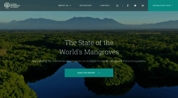 mangrovealliance.org