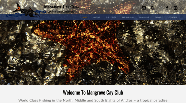 mangrovecayclub.com