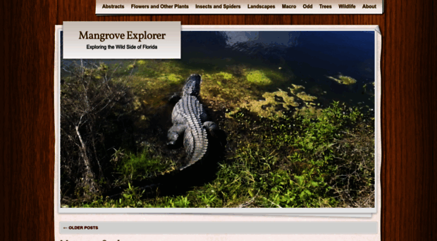 mangroveexplorer.wordpress.com