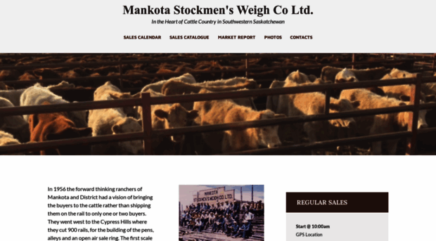 mankotastockmens.com