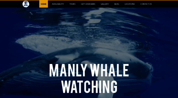 manlywhalewatching.com