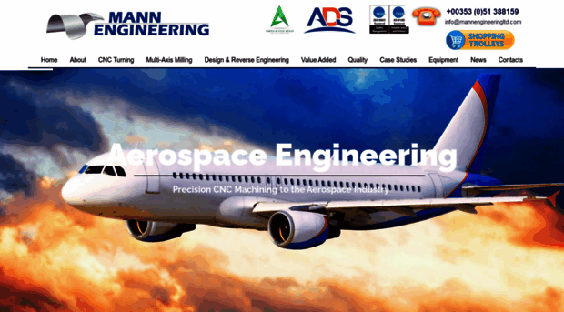 mannengineeringltd.com