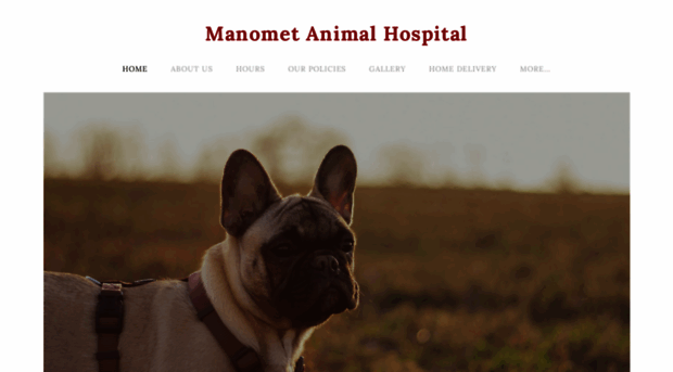 manometvet.com