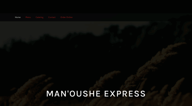 manousheexpress.com