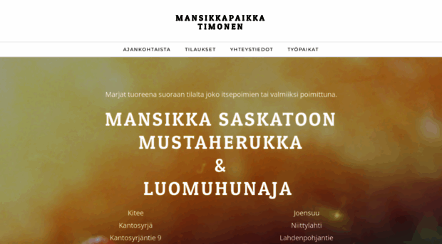 mansikkapaikkatimonen.fi