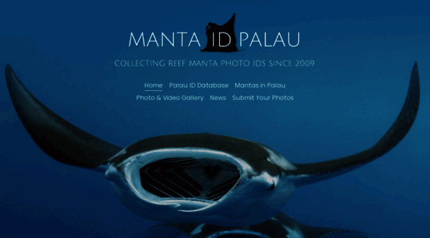 mantaidpalau.org