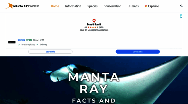 mantaray-world.com