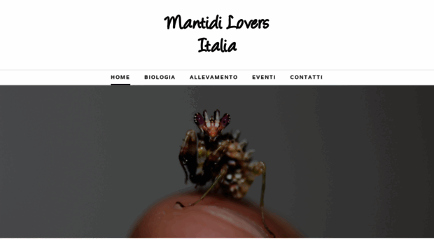 mantidiloversitalia.weebly.com