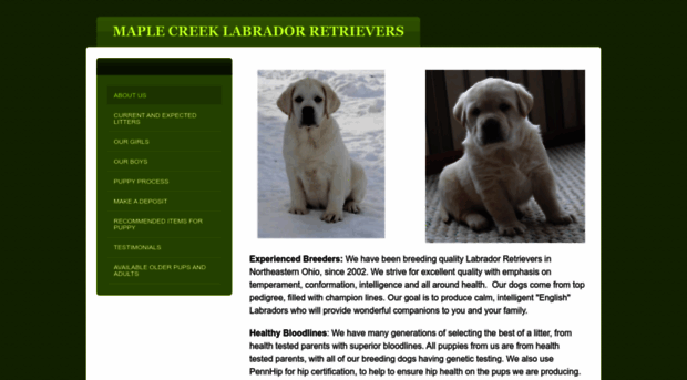 maplecreeklabradors.com