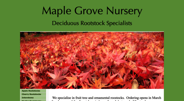 maplegrovenursery.com.au