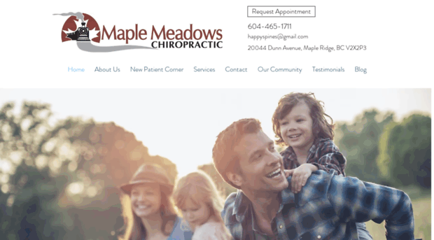 maplemeadowschiropractic.com