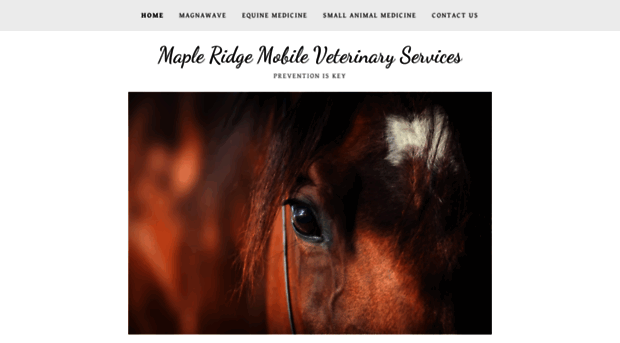 mapleridgemobilevet.com