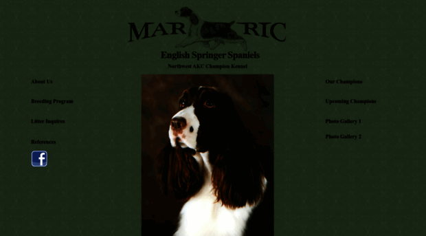 mar-ricspringers.com