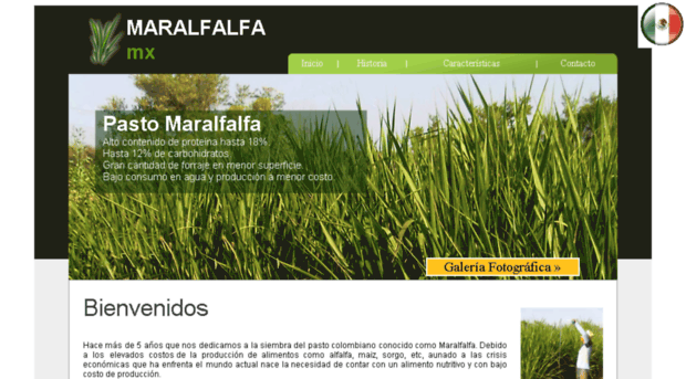maralfalfa.mx