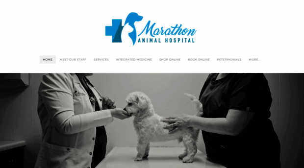 marathonanimalhospital.com